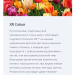 65" Телевизор Sony XR-65X95J HDR, Triluminos, LED, черный
