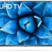 Телевизор LG 55UN73506