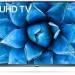 Телевизор LG 65UN73506LB